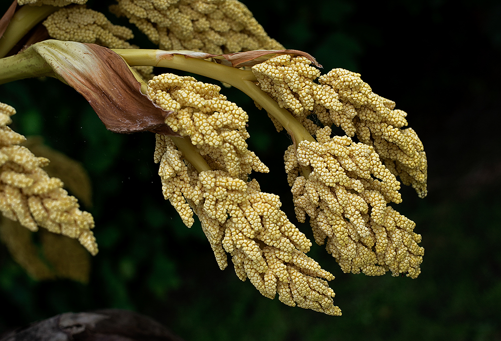 Normandie 05 - 2016_KA79637-1 Kopie.jpg - .